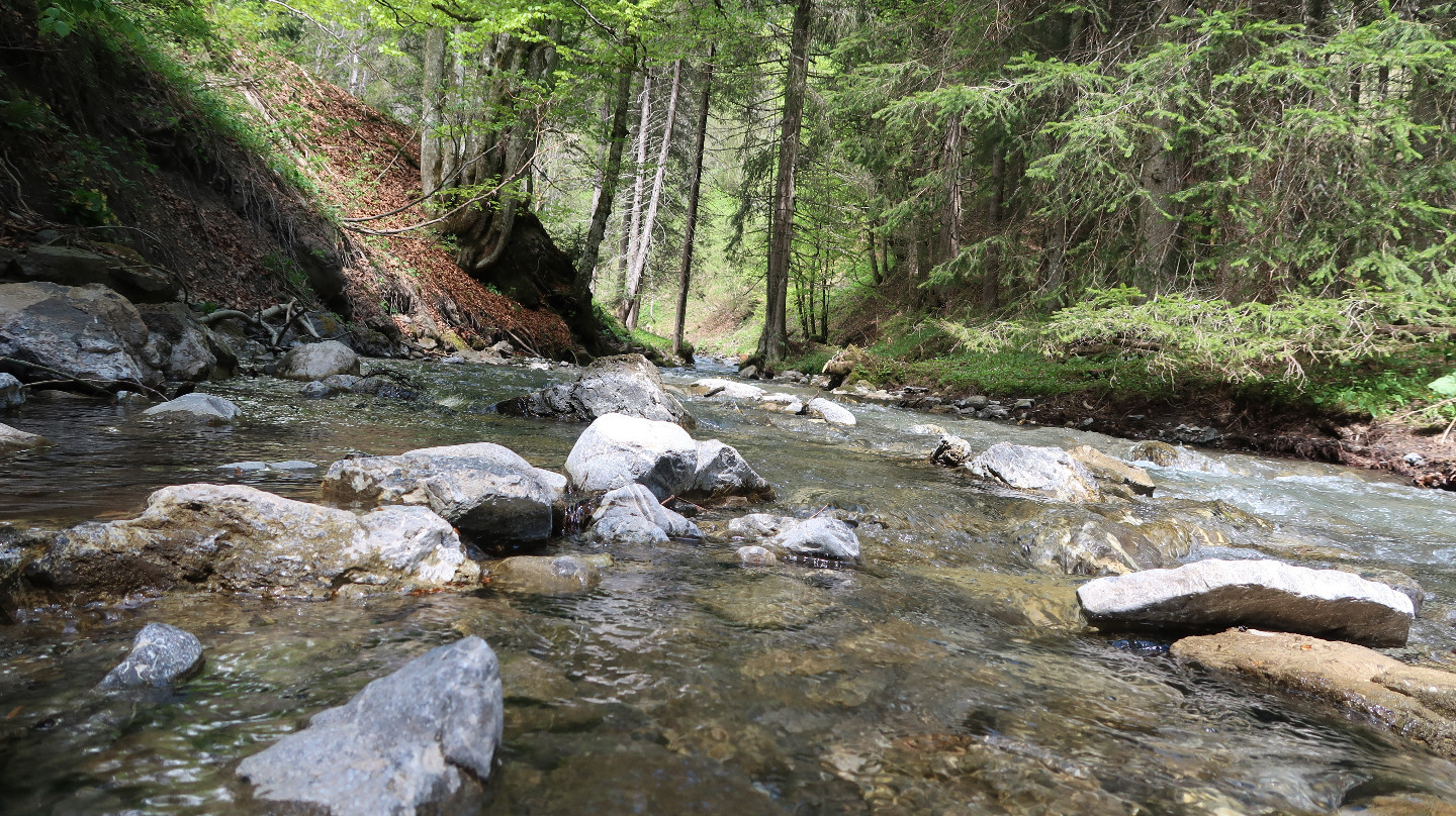 Le torrent de Foron en bas du chalet