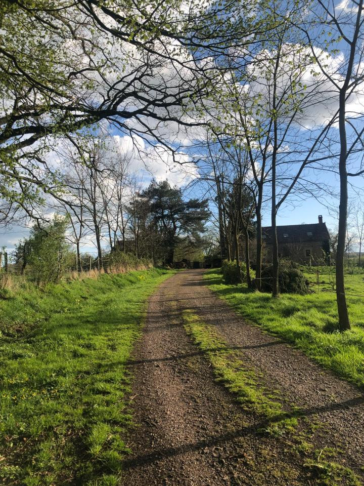 Petit îlot au calme en pleine nature
