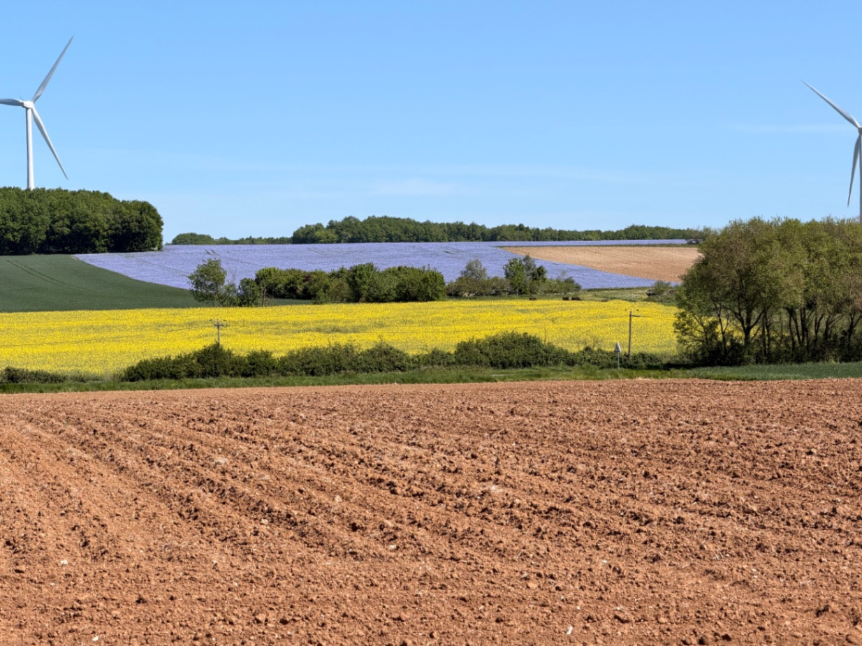 Le calme de la campagne charentaise