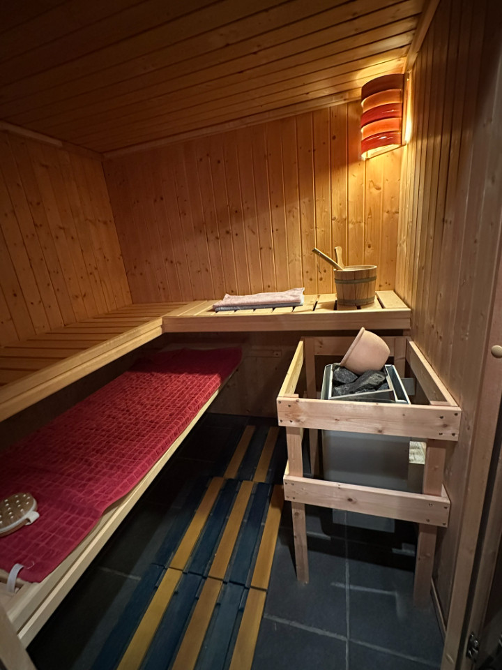 Sauna finlandais