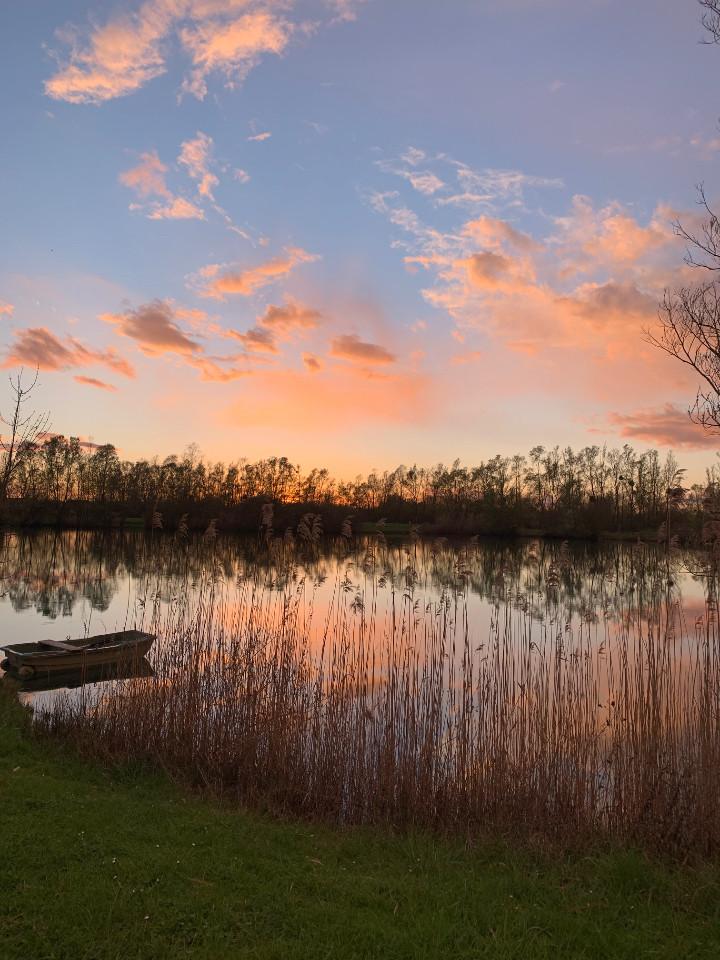 Vue du logement sur le lac !