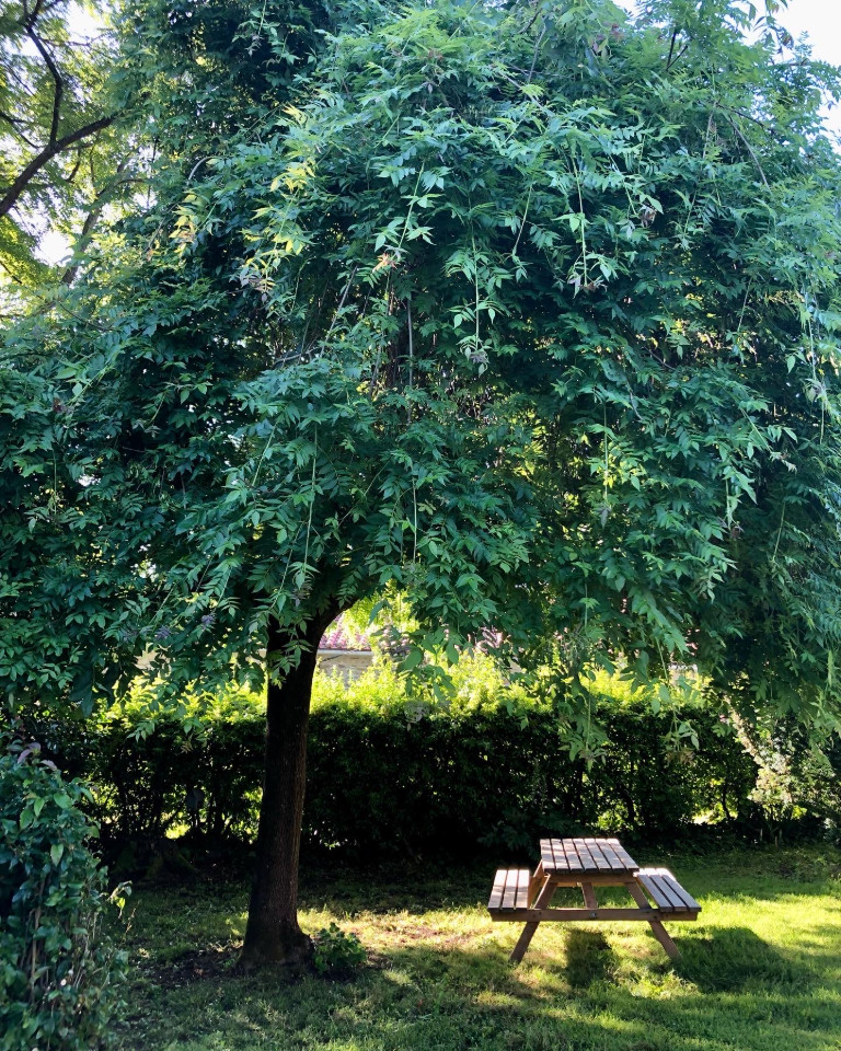 Site pittoresque et environnement paisible