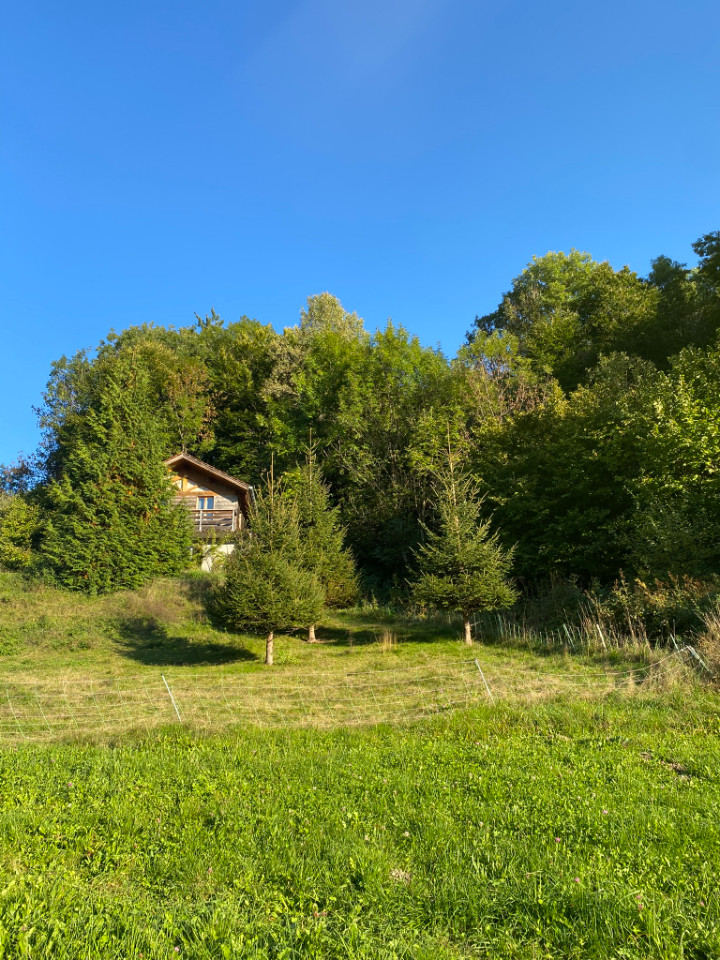 Face au Mont Lachat des Villards