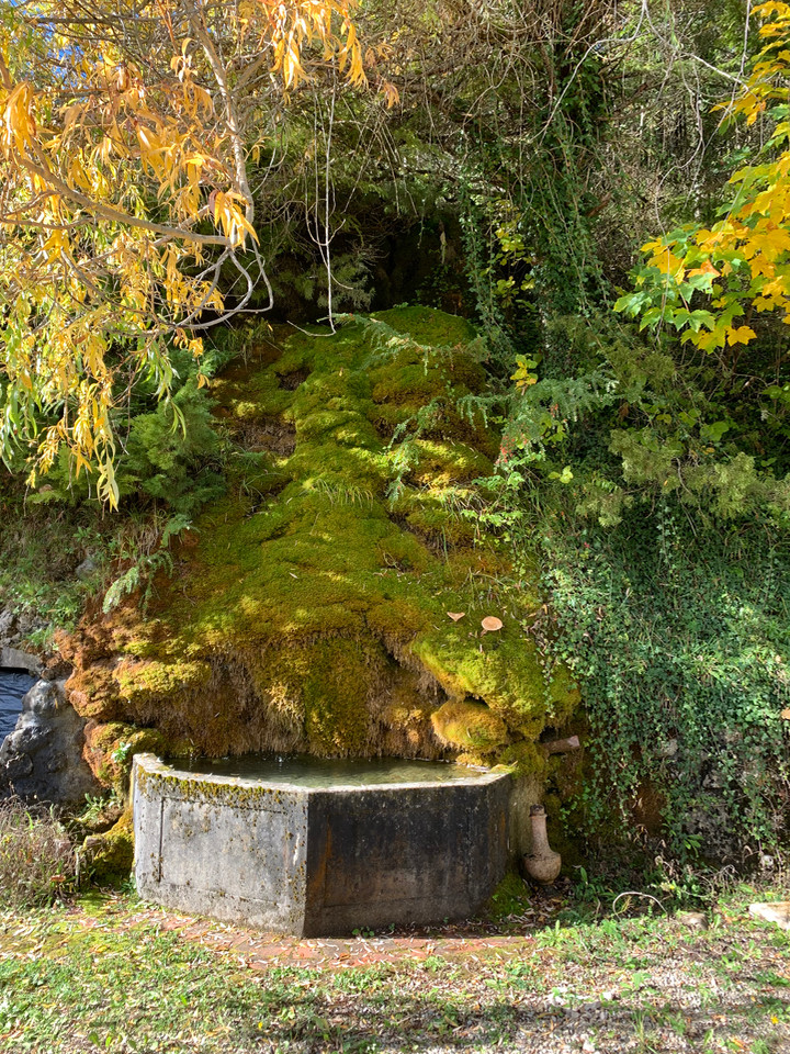Dans un environnement naturel avec piscine mise à disposition gratuitement !