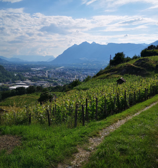 Randonnées depuis le Cœur de Conflans