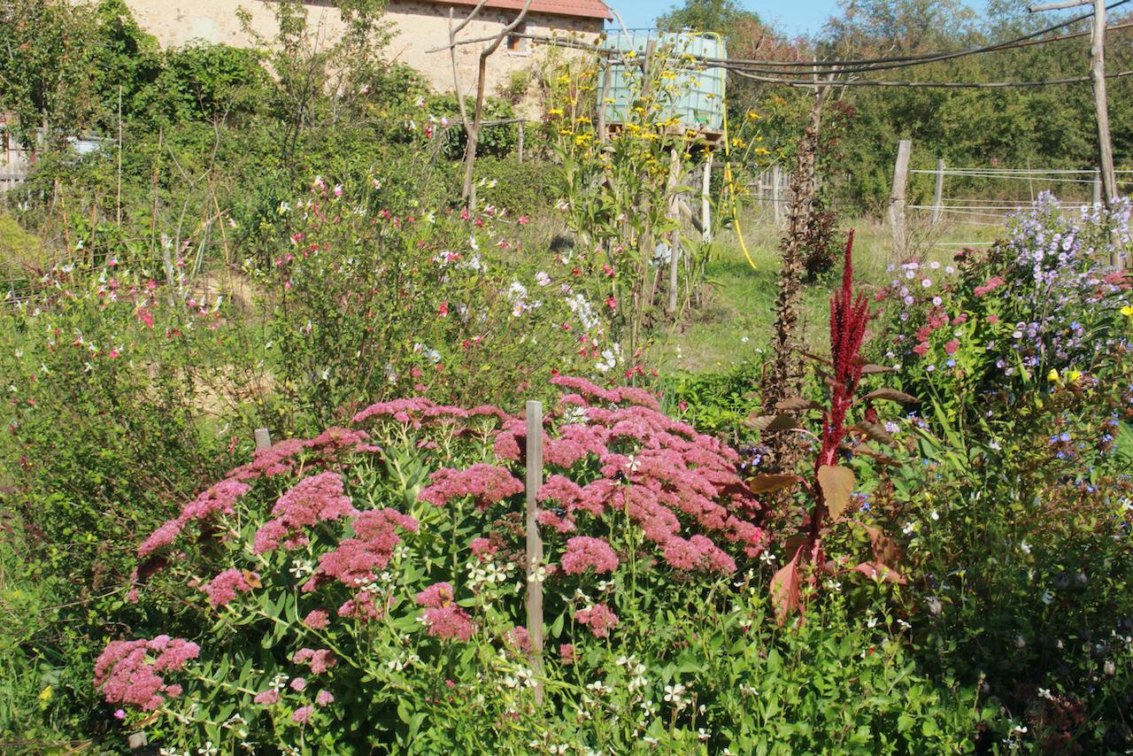 Ferme vivante et jardin en permaculture