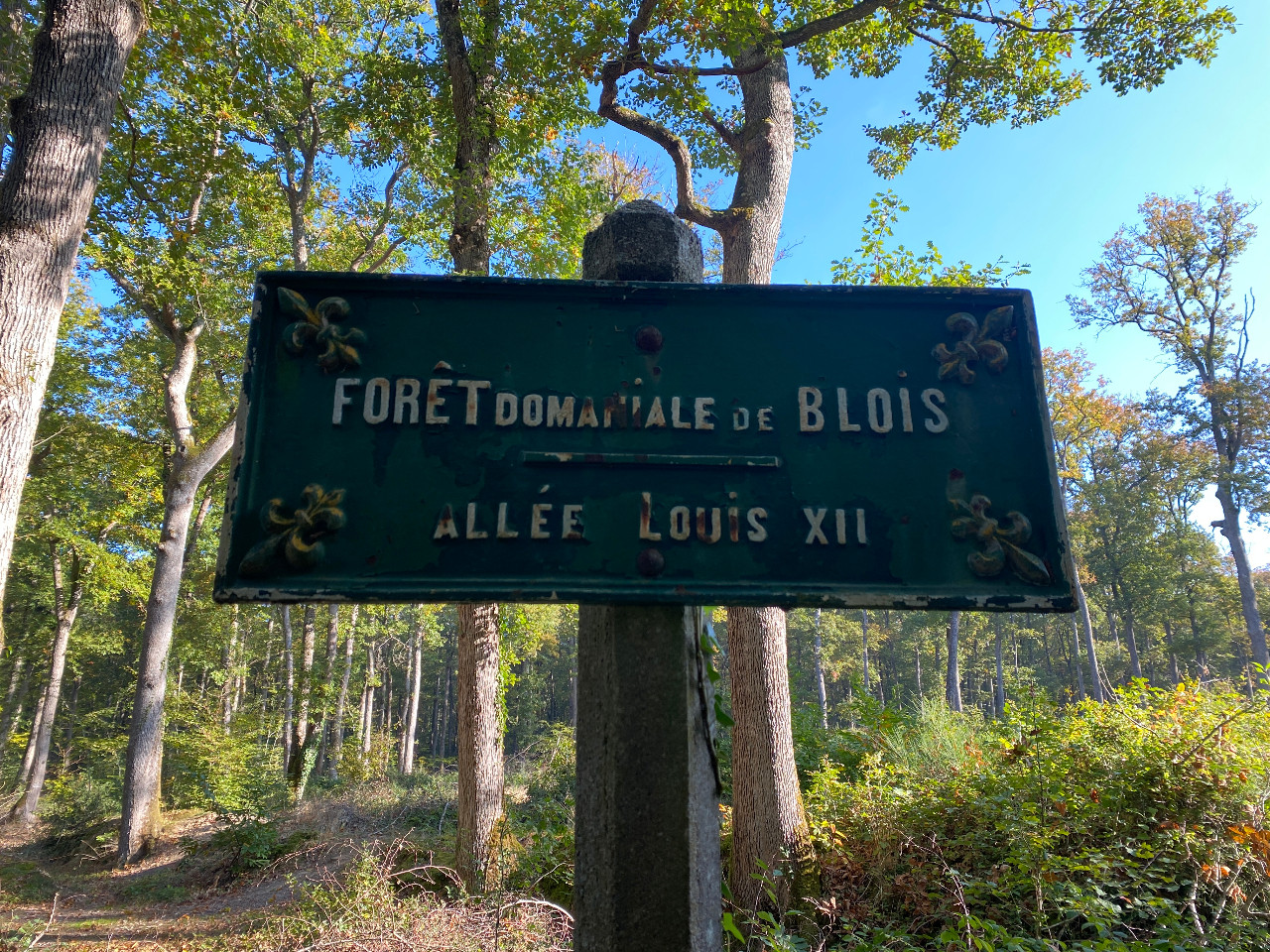 Balade en forêt