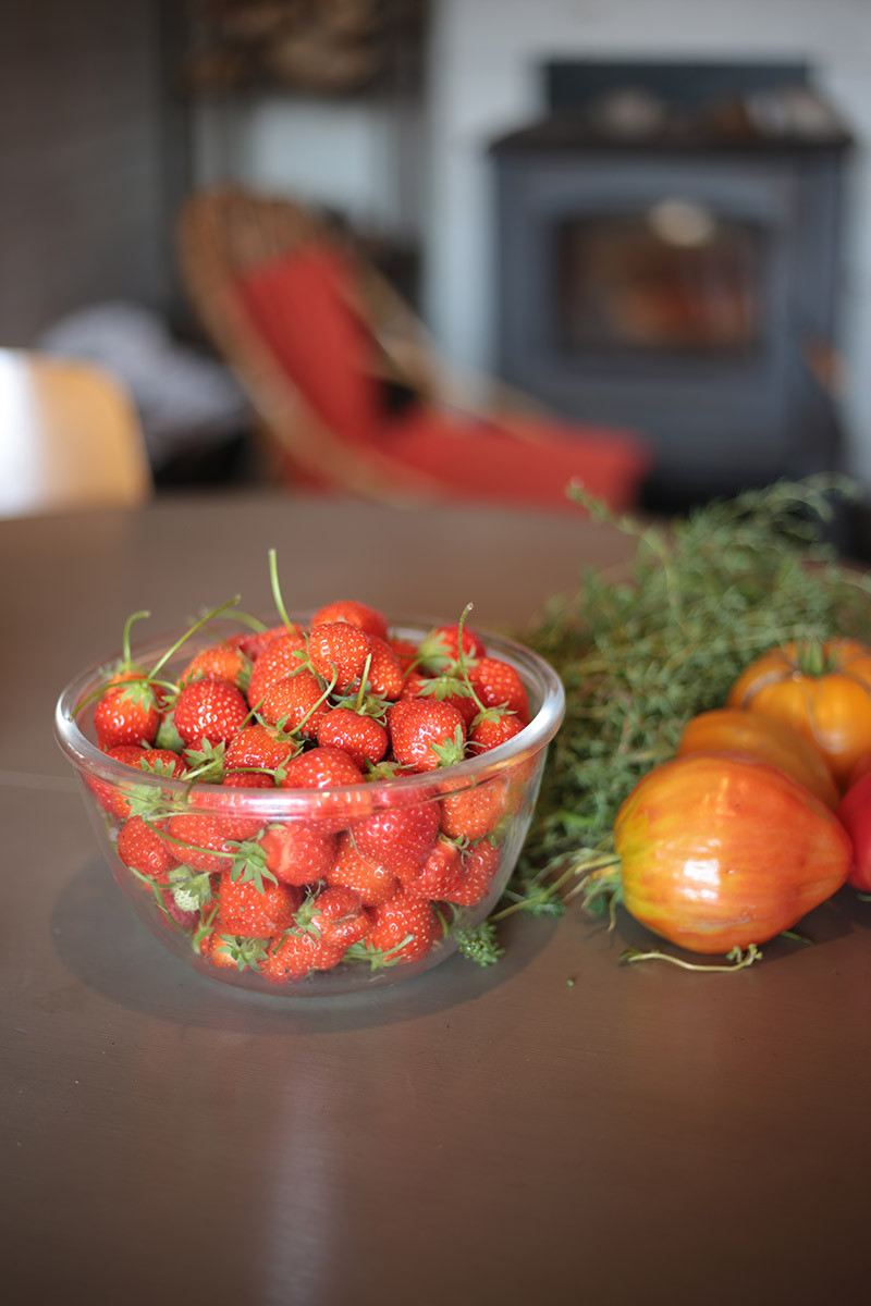 Boutique des produits du jardin et des environs