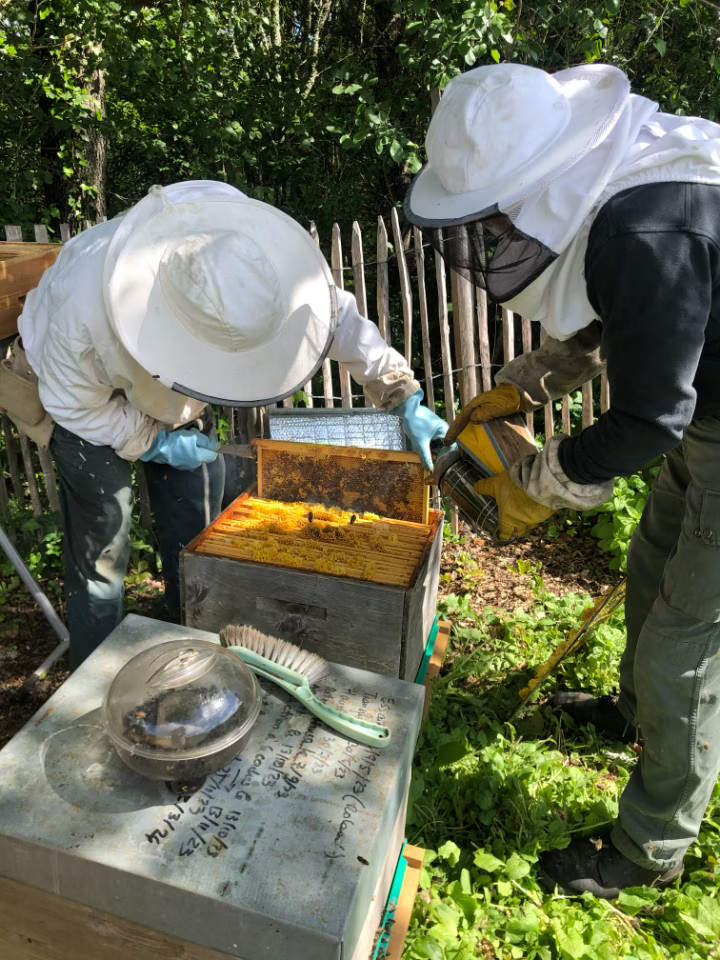 Ateliers confiture ou apiculture