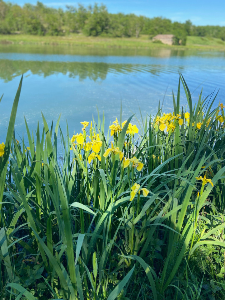 Escapade entre Moulins et Nature : Le Circuit du Lemboulas