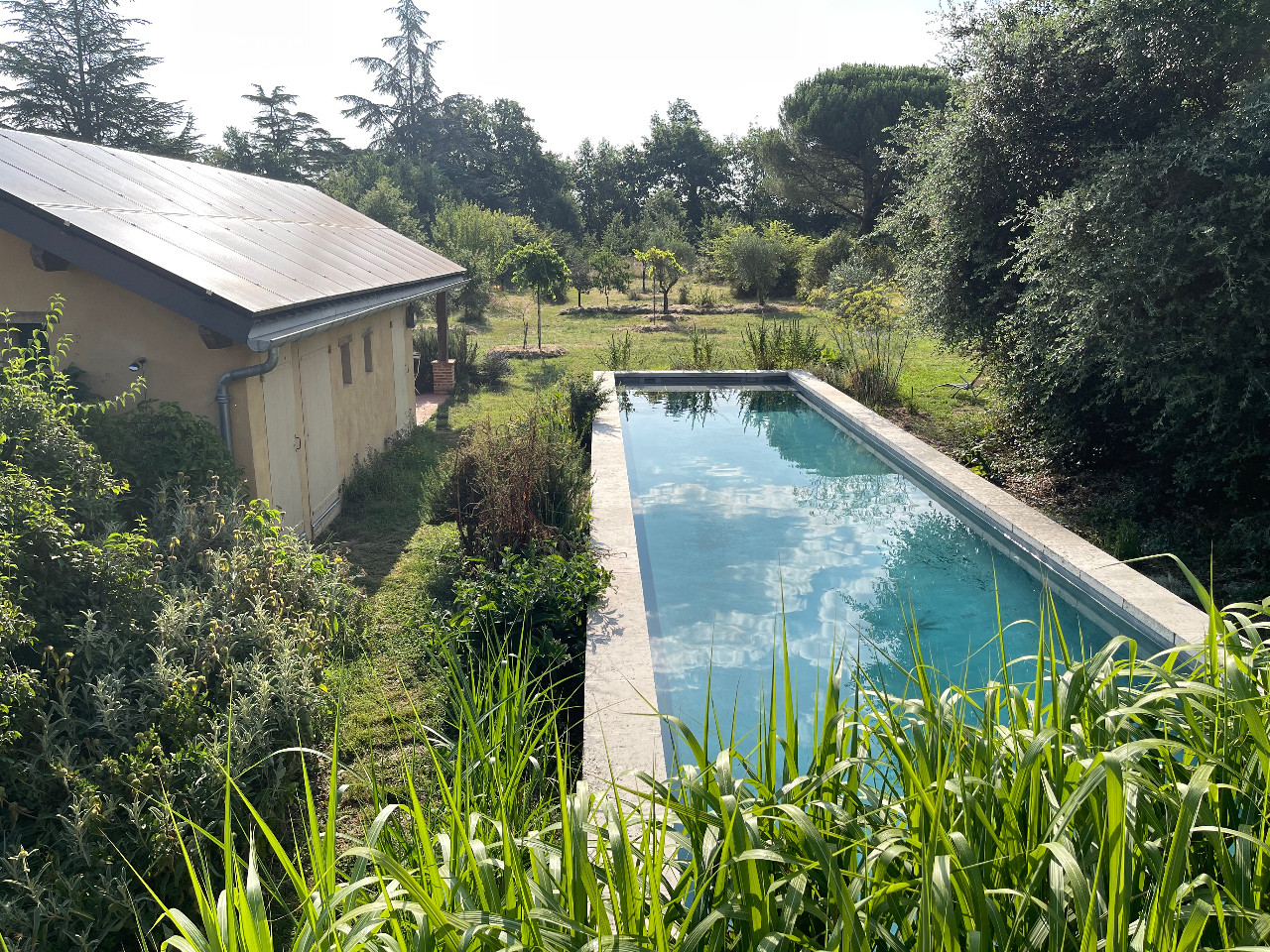 Piscine d'exception !
