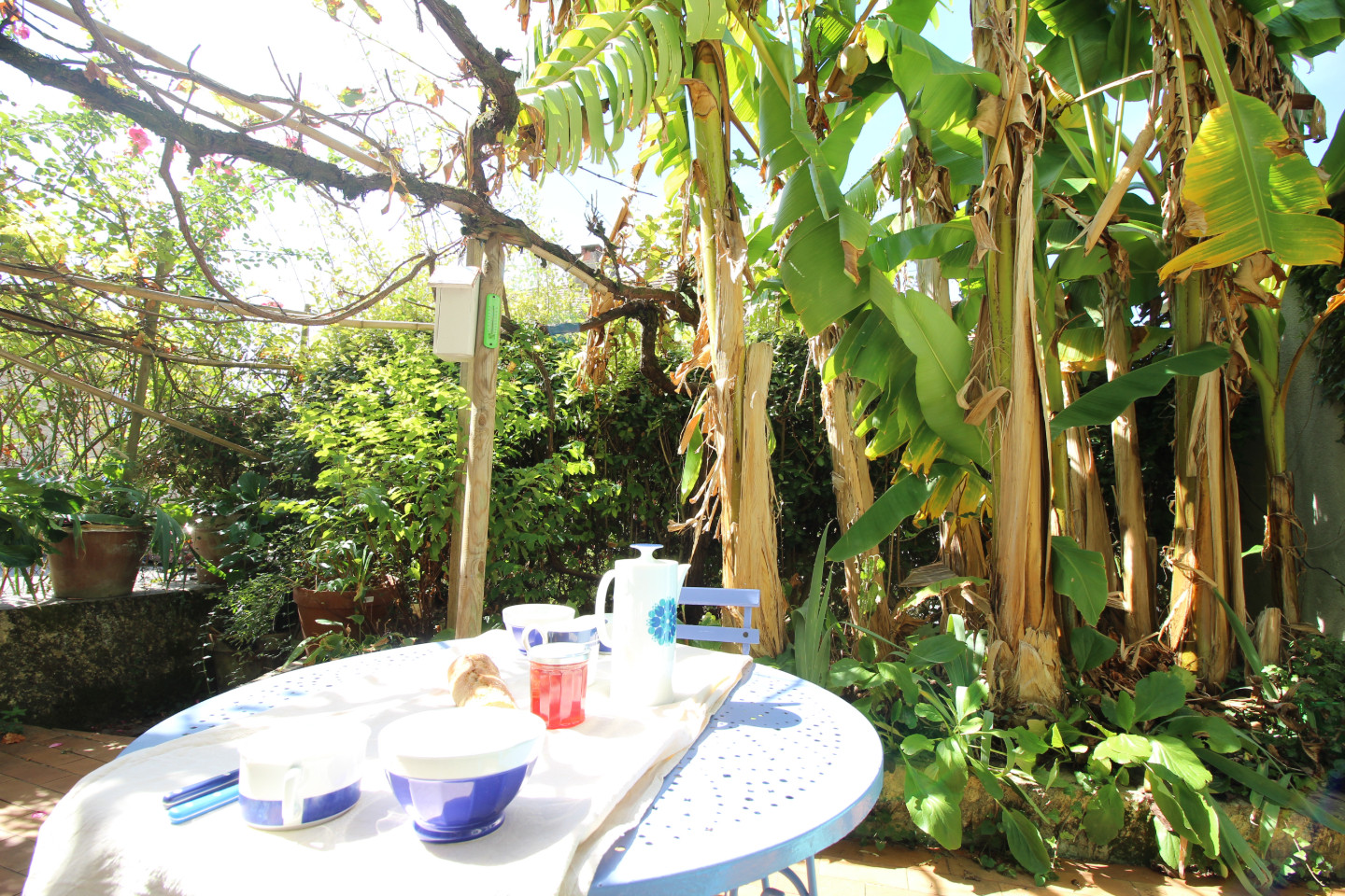 Patio privé intime  fleuri exotique pour vous seulement