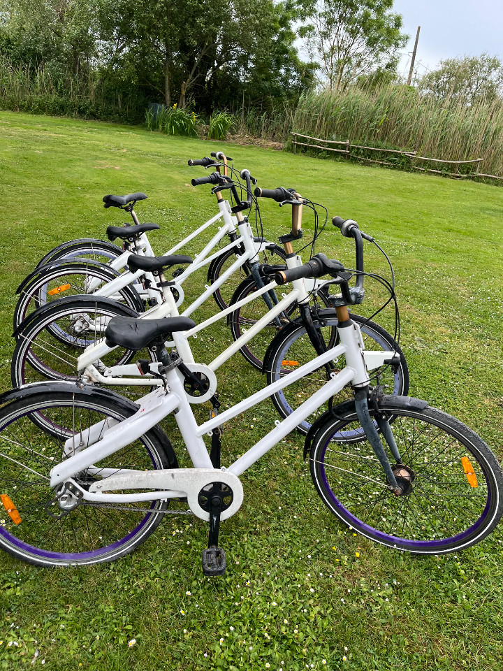 Vélos à disposition sur place