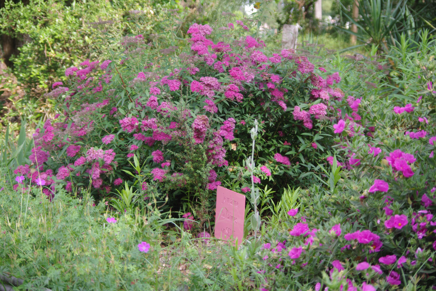 Notre  jardin, au bord de la rivière , sous les arbres du sous bois est un lieu de paix , idéal pour observer la nature , Dans un rayon de 3 km vous avez presque toutes les activités sportives du surf au yoga cf le site de l'office de tourisme