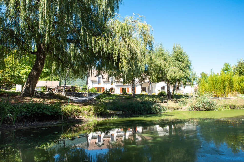 Jardin arboré autour de son étang naturel