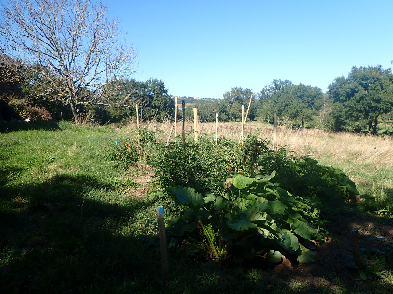 Jardin au coeur de la biodiversité