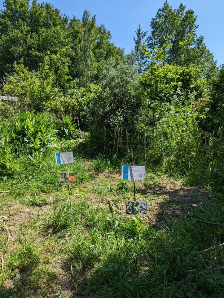 Ferme pédagogique de plantes médicinales