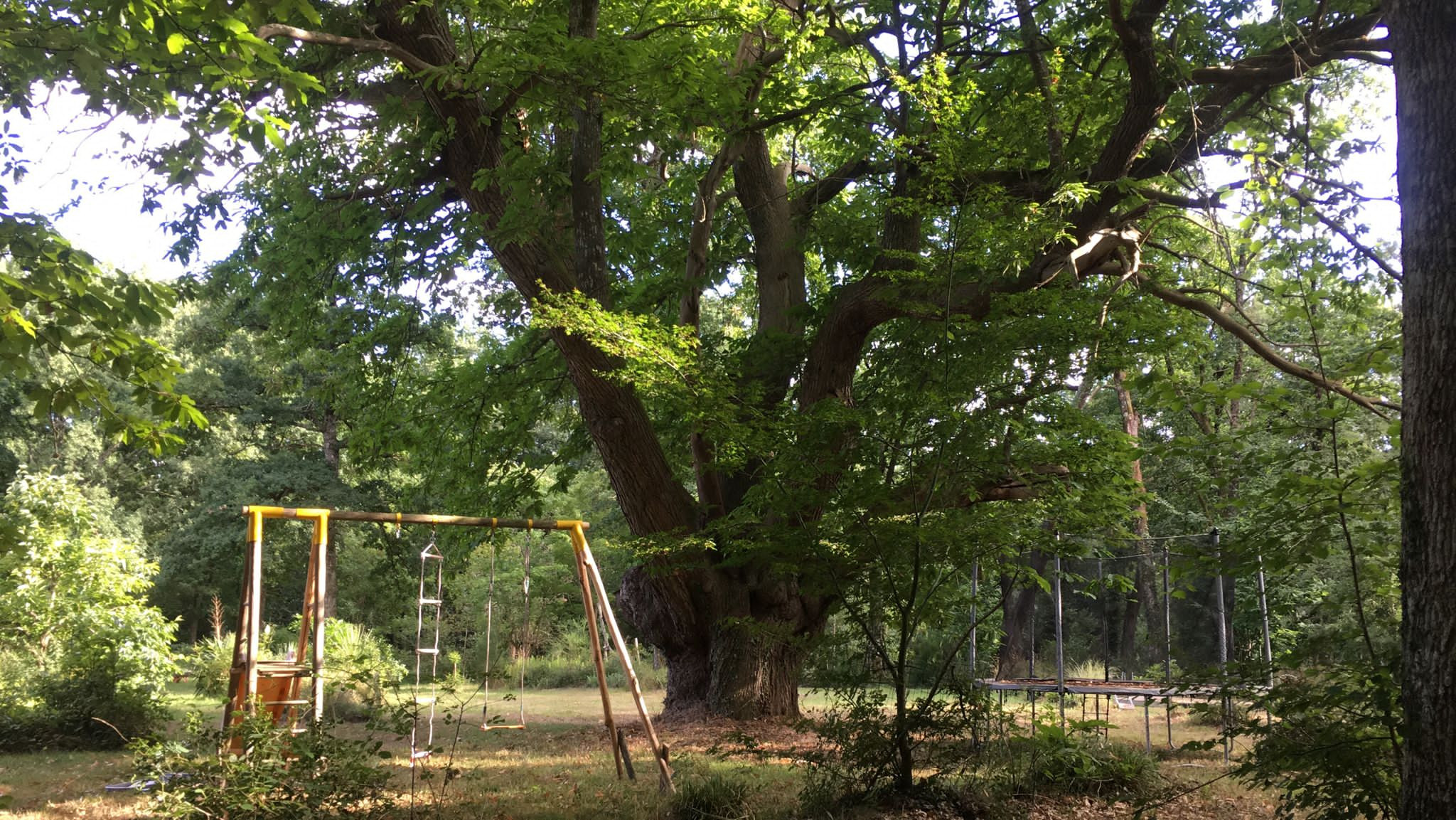 Toboggan et trampoline
