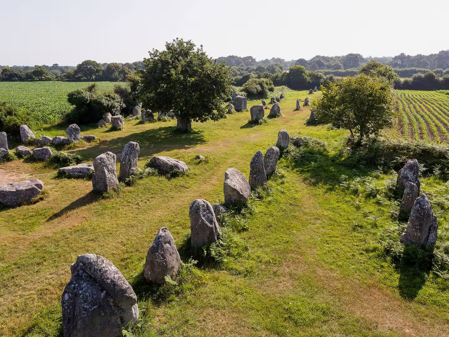 A 3 coup de pédales du site classé Unesco : Mégalithes de Carnac et Rives du Morbihan