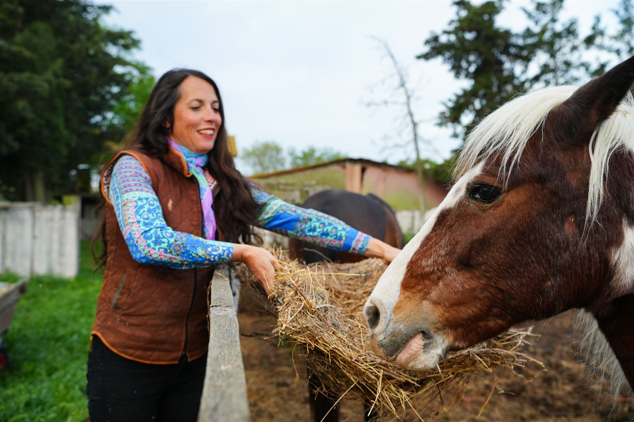 🐴 Escapade Douce avec Morane & Lady