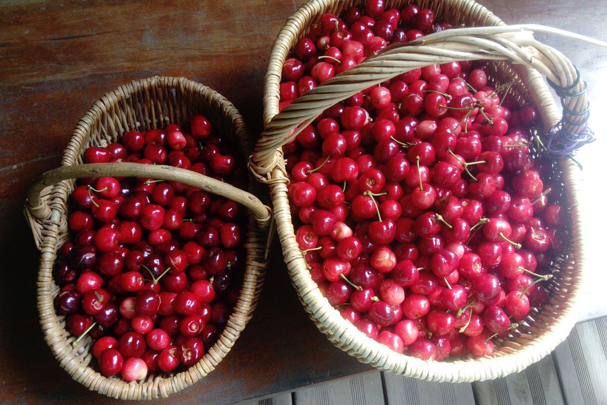 Panier Gourmand