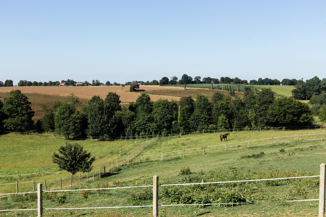 Accueil de chevaux et cavaliers en randonnée