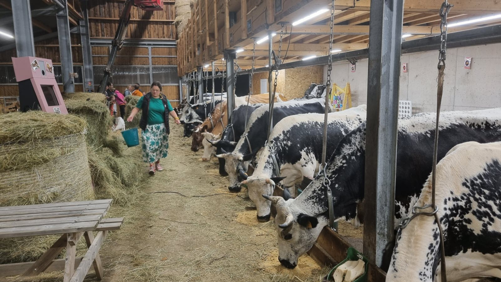 Visite de la ferme des Plombes XL