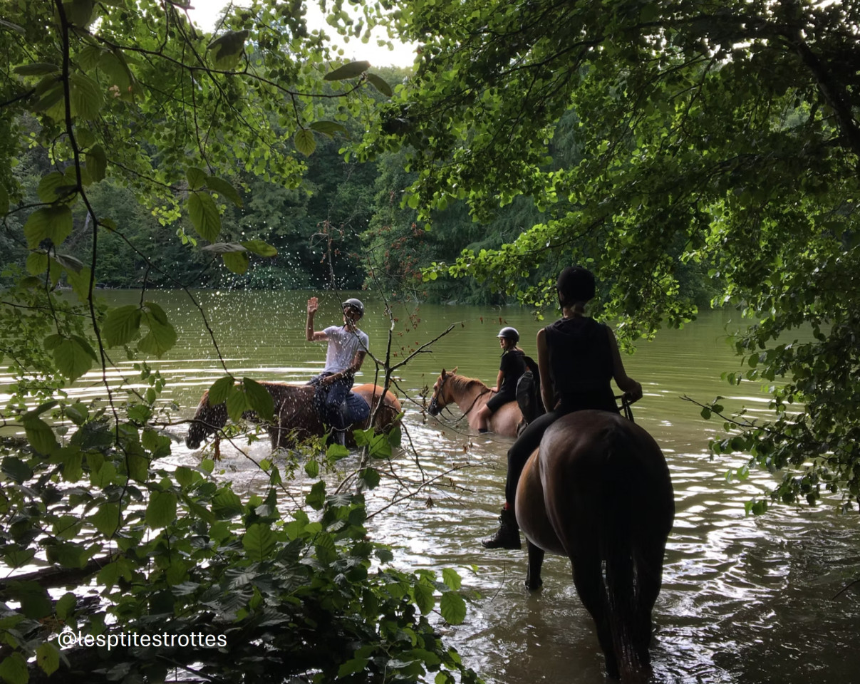 🐎 Évasion équestre et Sylvothérapie ;)