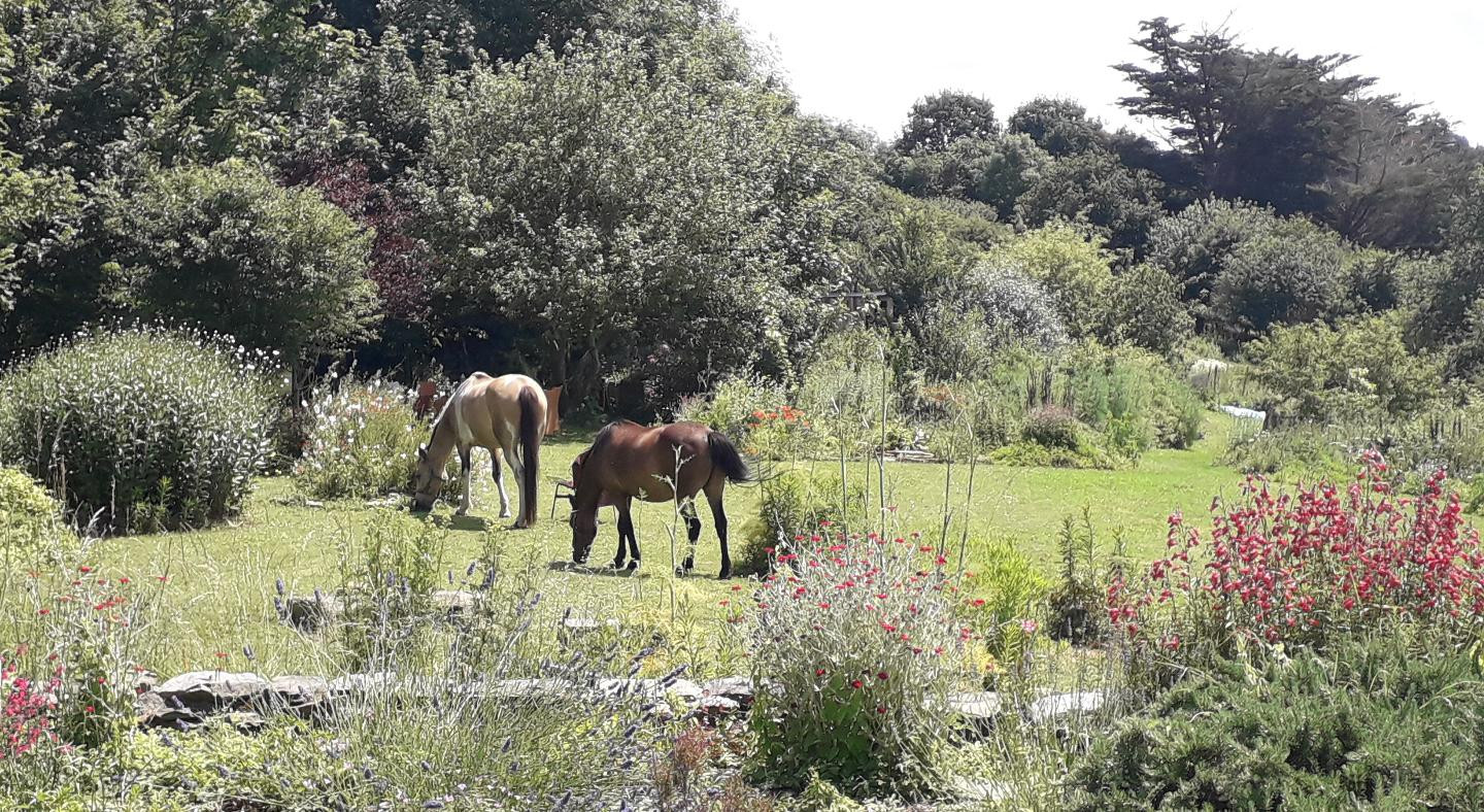 Le jardin vivant