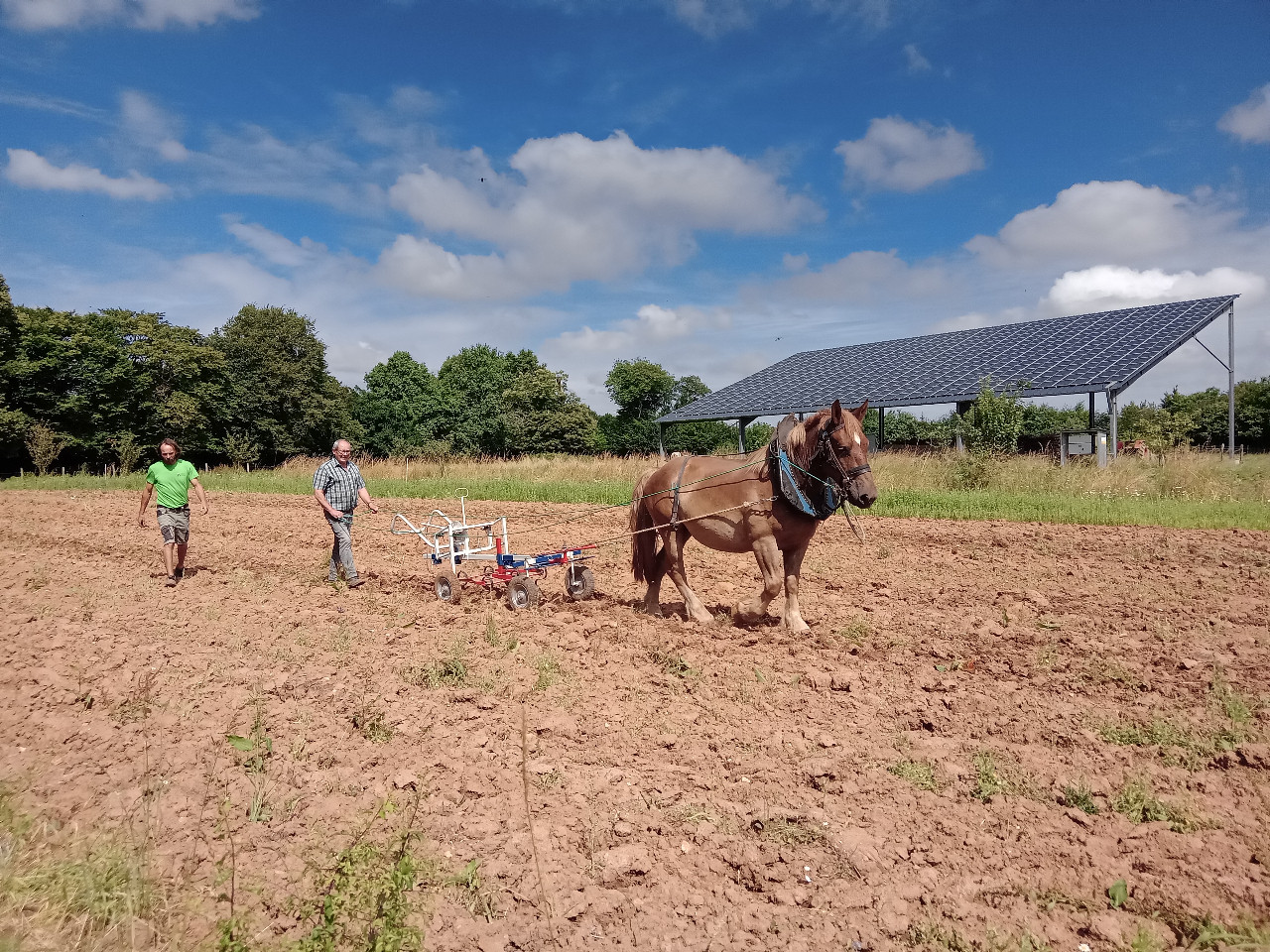 micro-ferme avec des animaux,