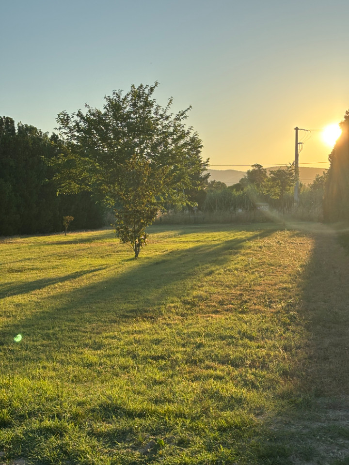 Un grand jardin pour se retrouver et profiter du grand air