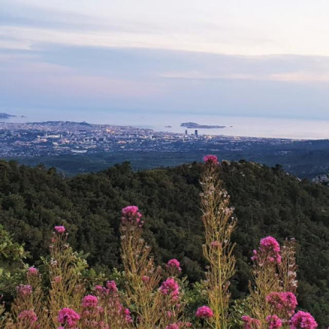 Ballade colline dans la chaîne de l'étoile