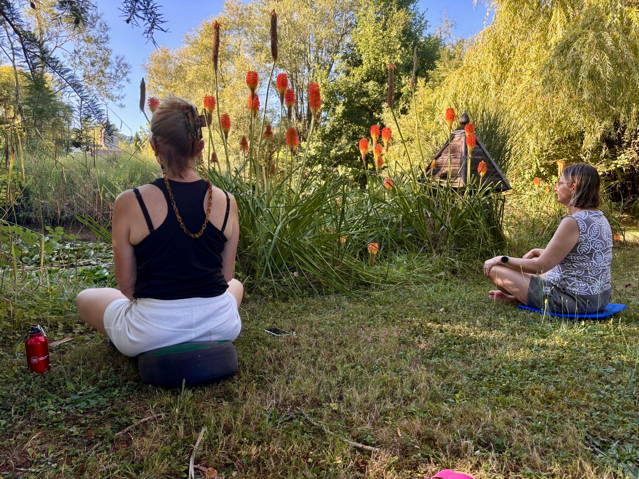 Méditation au bord de mon étang aux nénuphars