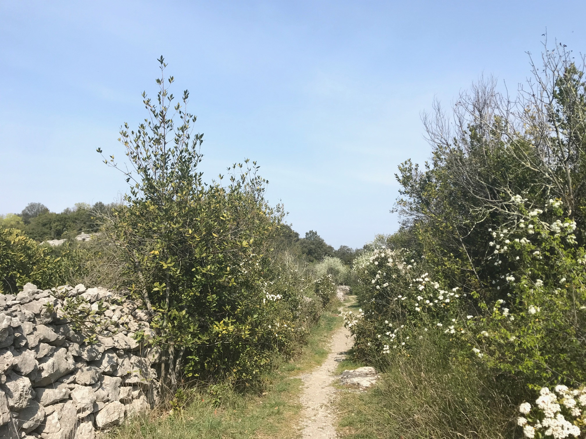 Départ de randonnées depuis la Catiche