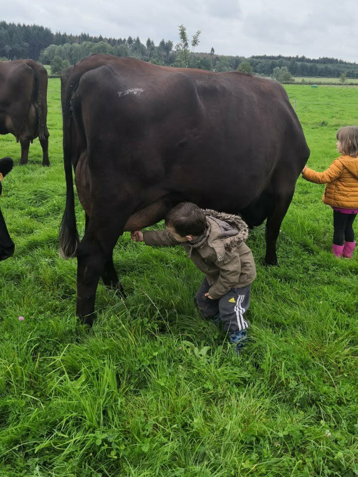 Visite à la ferme