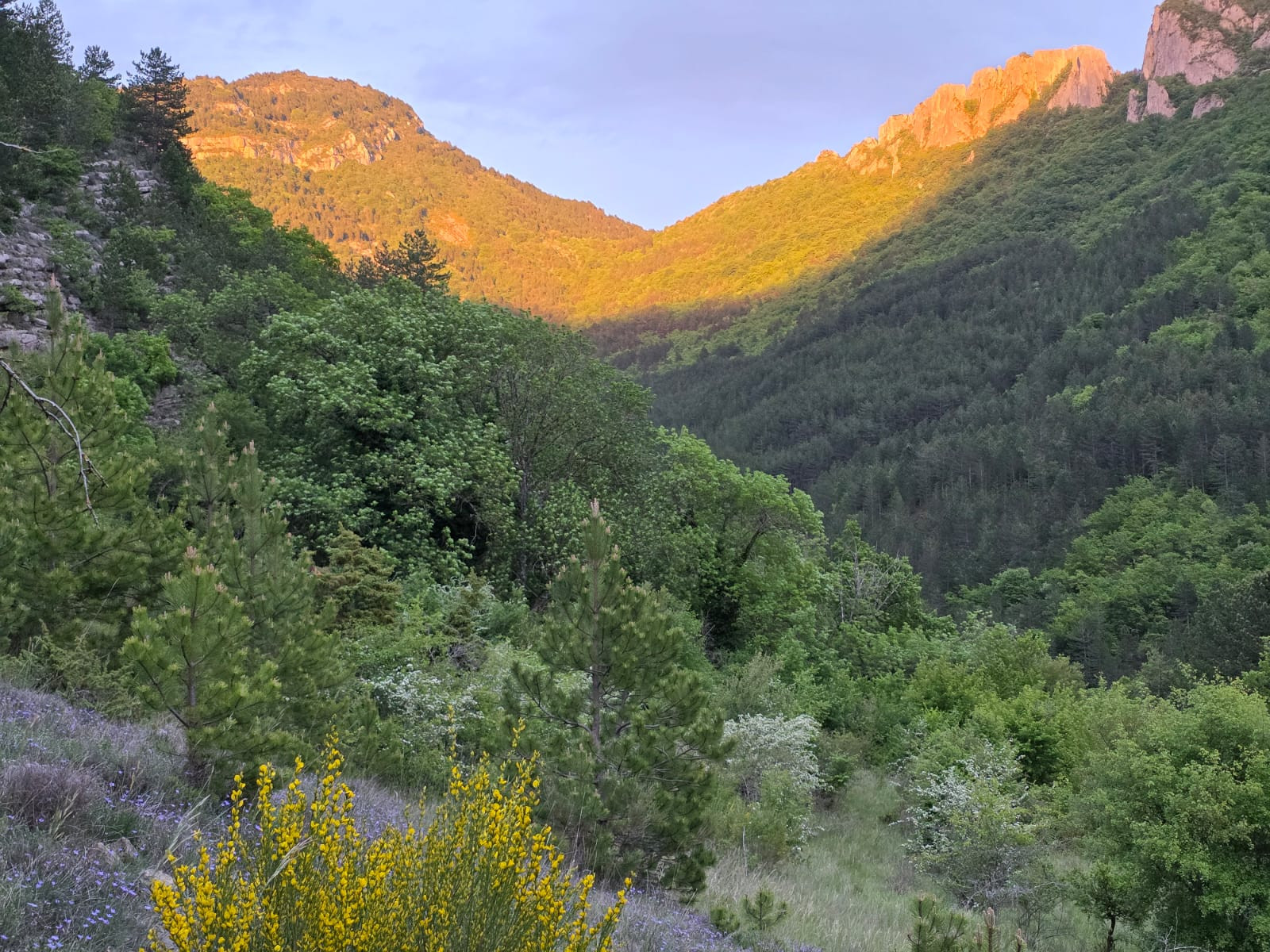 Calme et paix au bout du monde en pleine nature