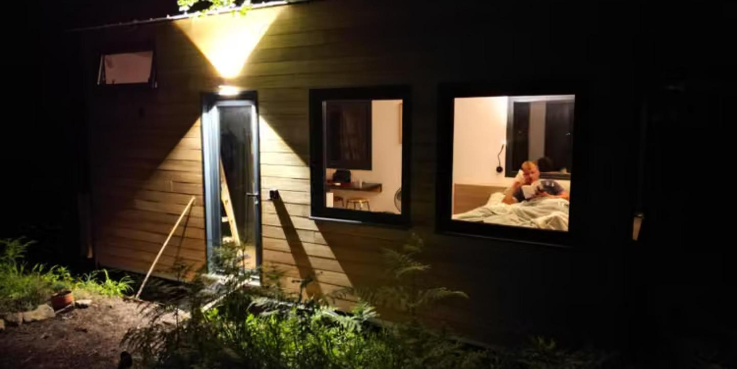 Nuits noires et ciel étoilé en forêt