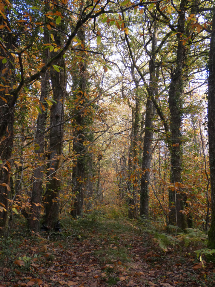 Profiter de la nature
