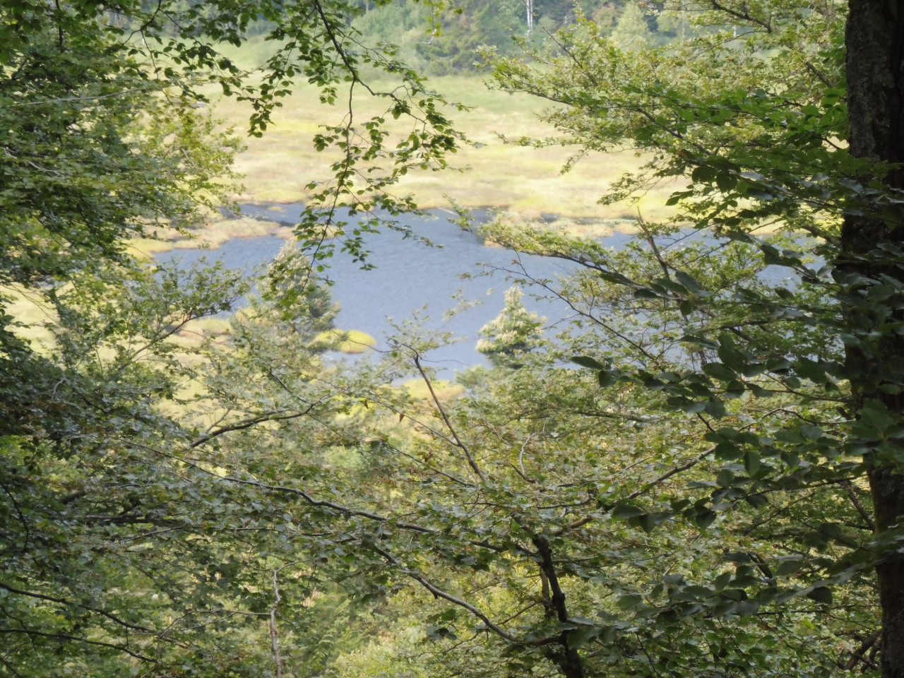 Rando au départ du gite