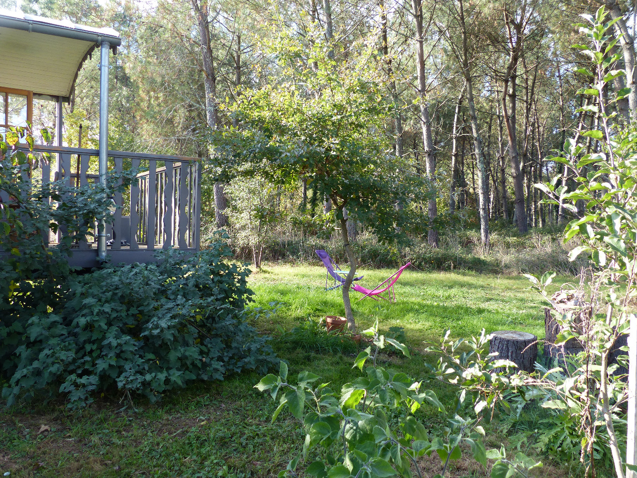 Serein et reposant