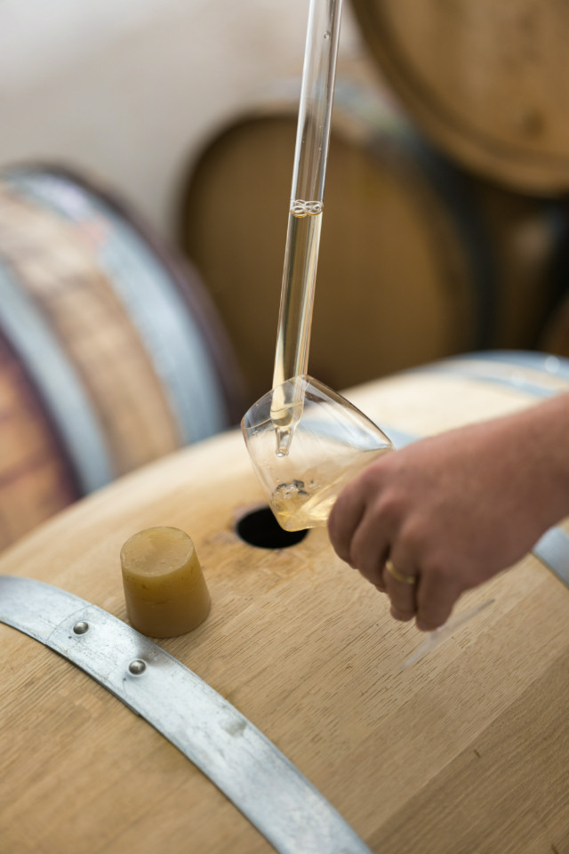 Visite du chai et dégustation de nos vins
