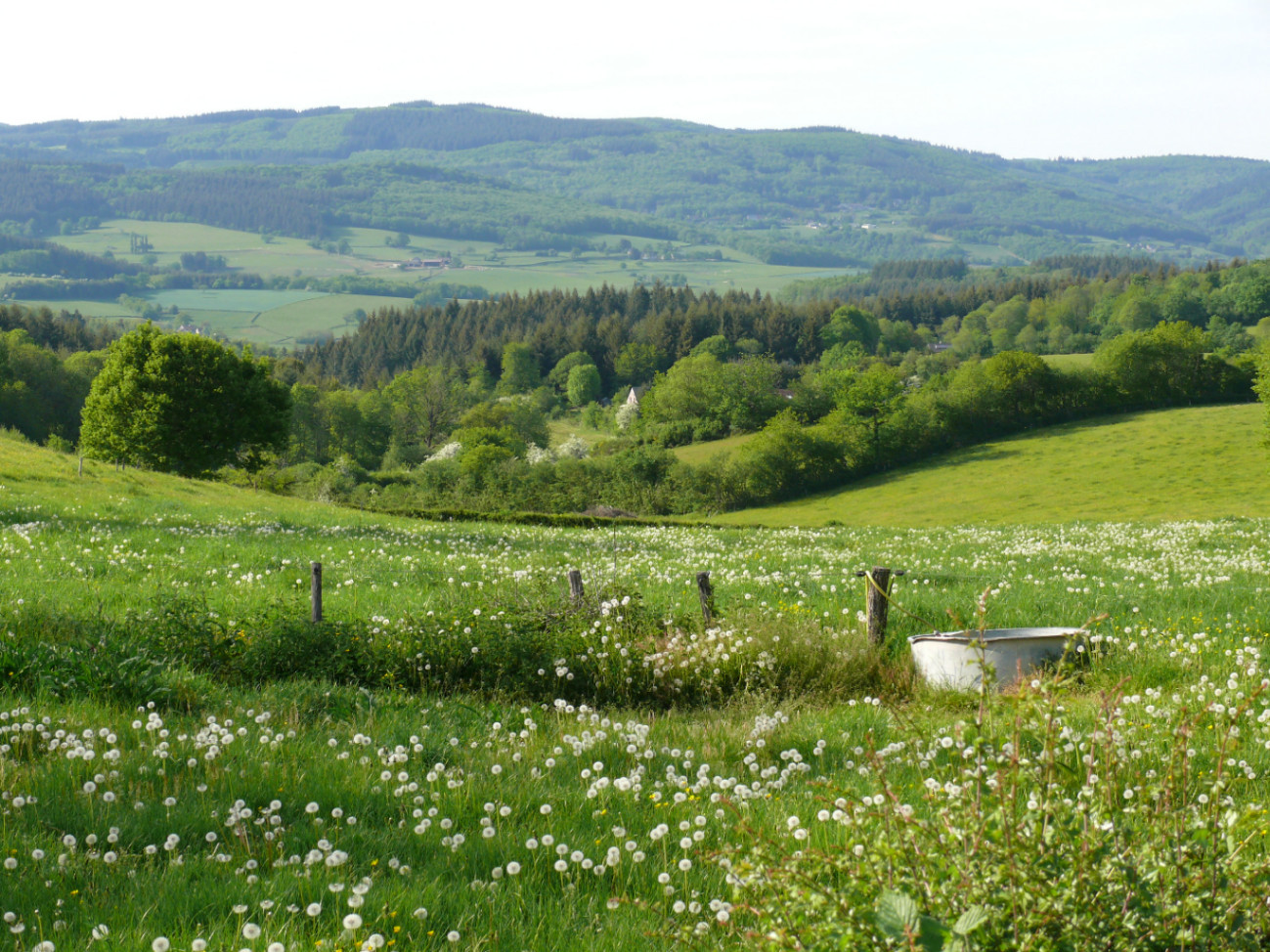 En pleine nature, entre prés et forêts