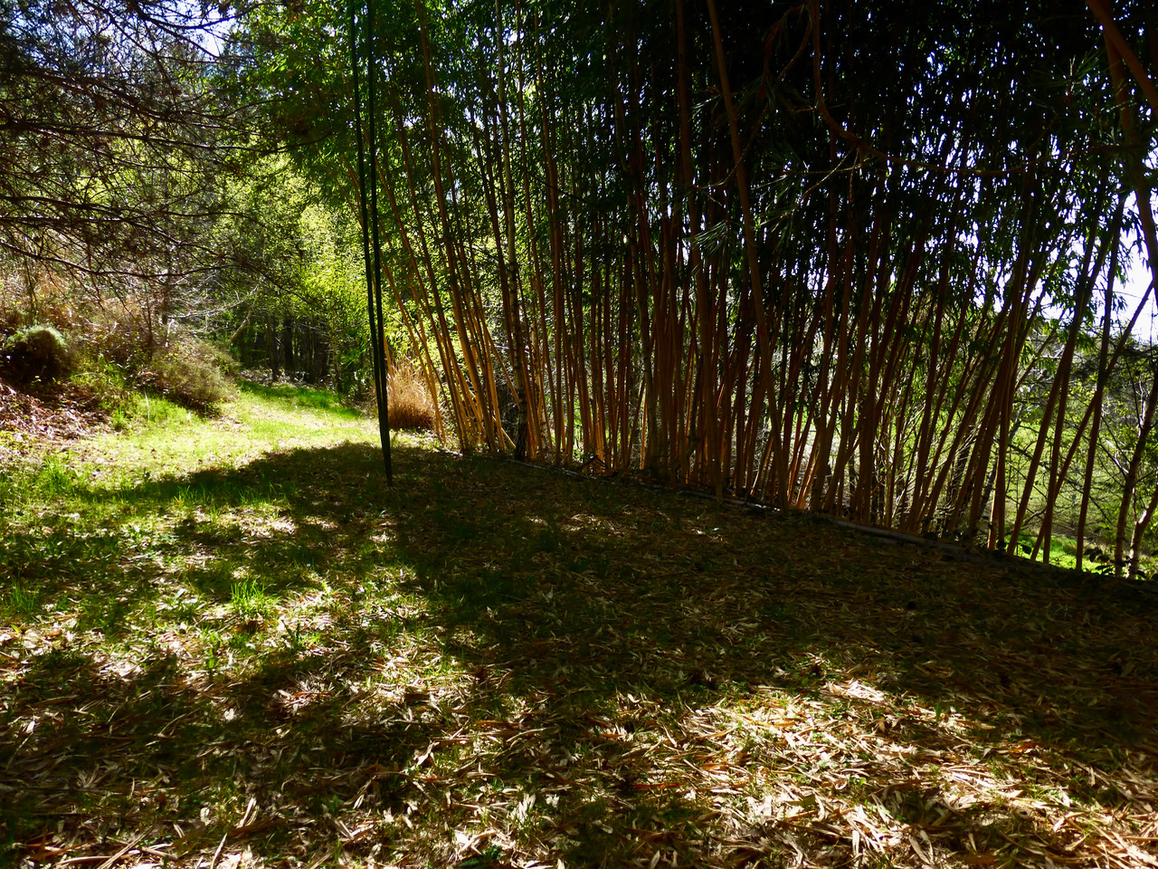 Méditation de Pleine Nature