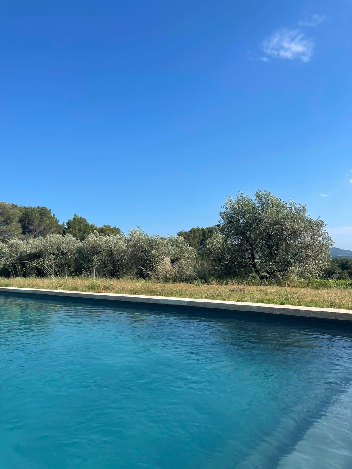 piscine aux dimansions généreuse 15*4.5 m