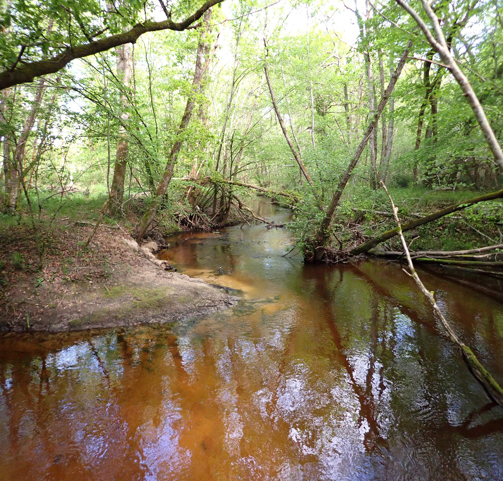 Promenade sur les Berges du Gât Mort