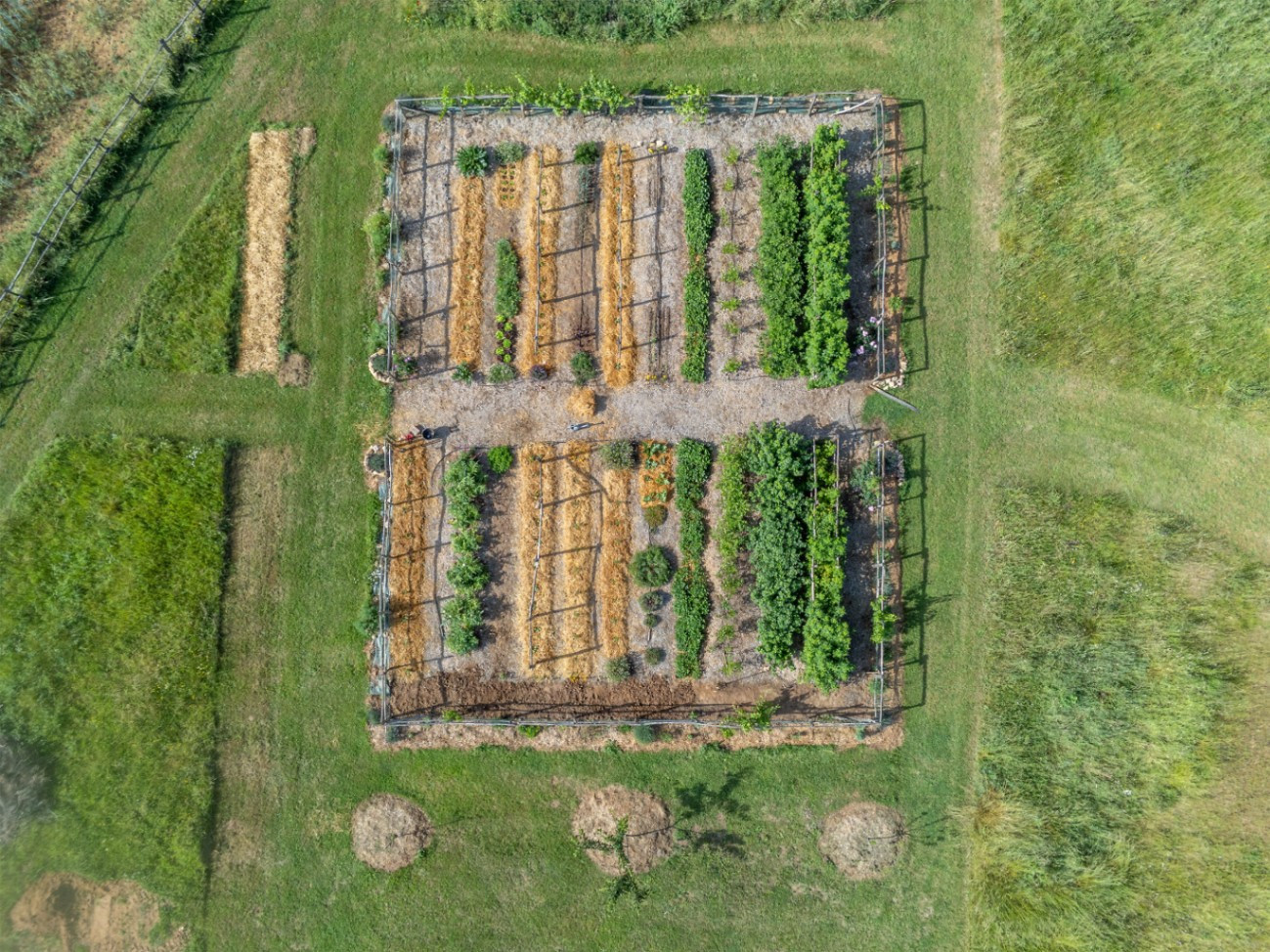 Un généreux potager