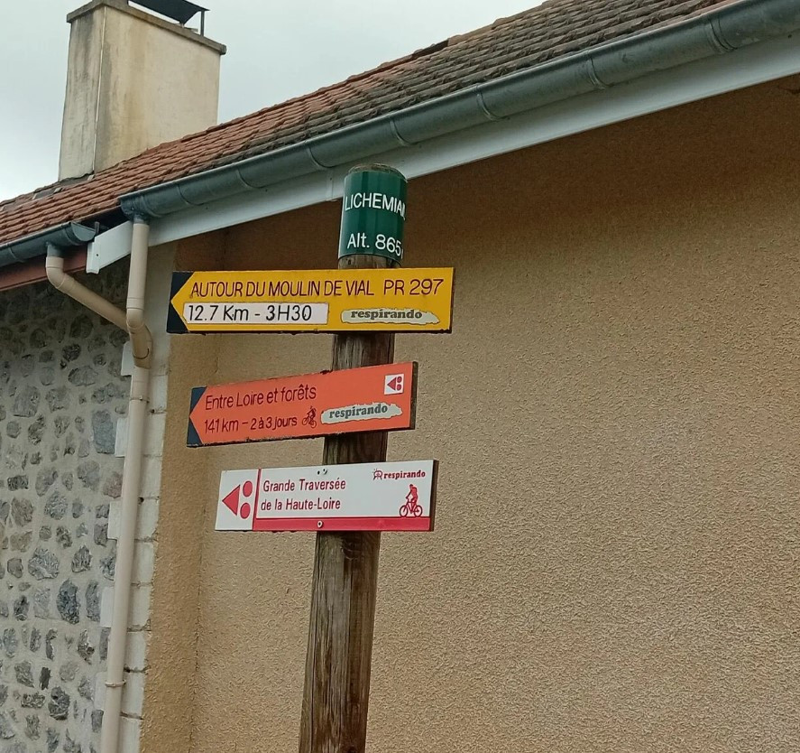 Randonnées au départ du gîte en forêt