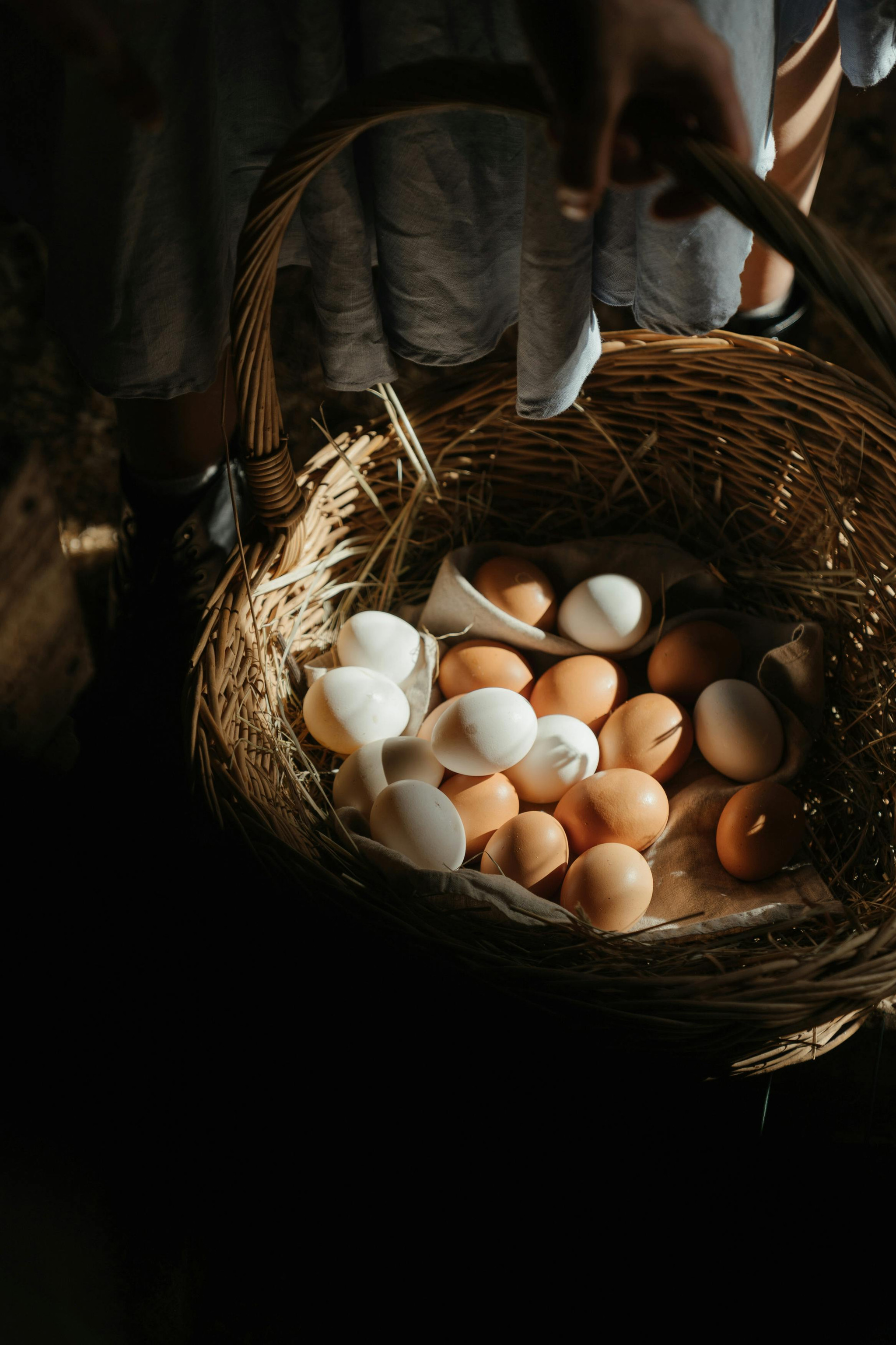Découverte et vente de produits de la ferme au Panier de la Lande