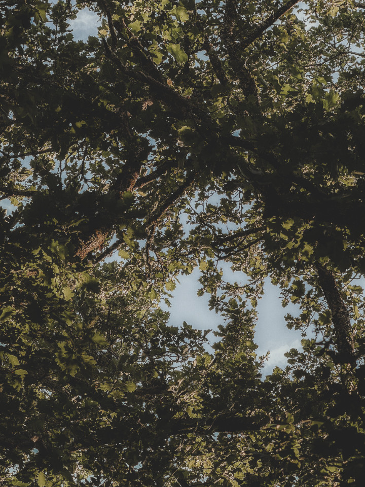 Une parenthèse pour adulte en pleine nature