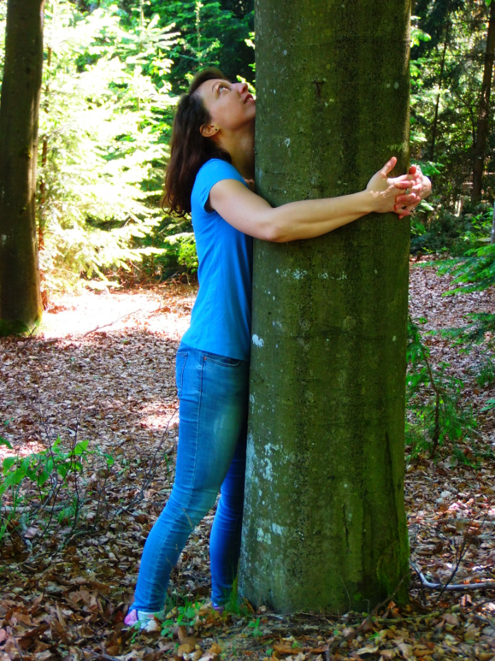 Balade zen dans les bois, avec initiation aux bains de forêt